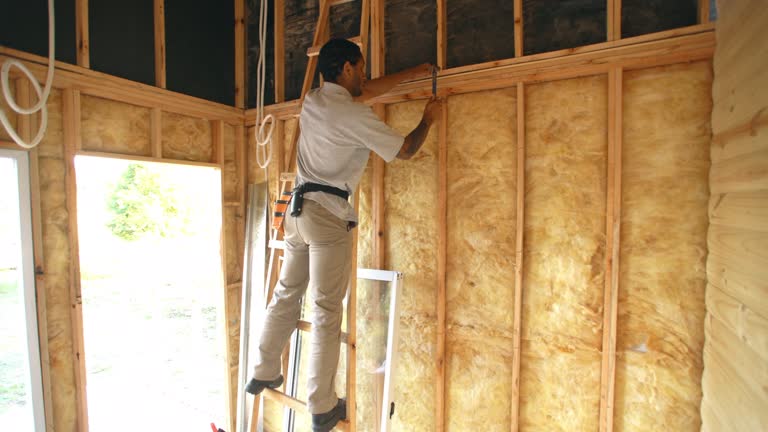 Best Garage Insulation  in Ofallon, IL