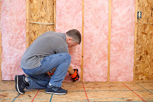 Best Commercial Insulation Services  in Ofallon, IL