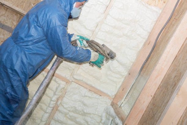 Best Blown-In Insulation  in Ofallon, IL